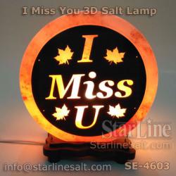 I Miss You 3D salt lamp